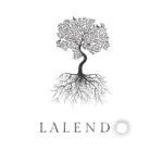 WhatsApp_Image_2025-02-05_at_05.07.14_1_-removebg-preview